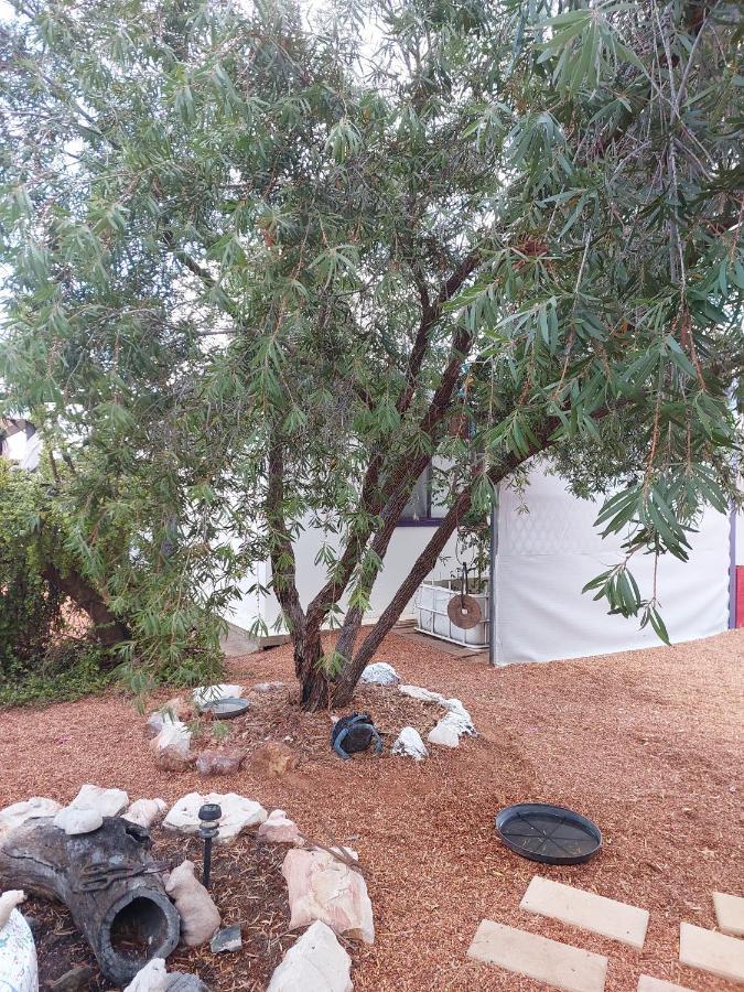 Lavender Cottage - At Home In Lightning Ridge Dış mekan fotoğraf